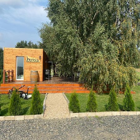 Domek Na Uboczu Грыфув-Слёнский Экстерьер фото